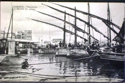 1900_DoganaPesce